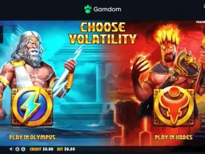 Winli Slots گیم اسکرین شاٹ 1